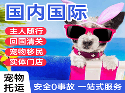 东河空运地址国际宠物托运 【国